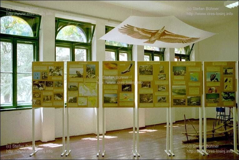 im Ausstellungsraum des �kozentrums Beli auf der Insel Cres