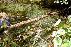 Der Nationalpark Plitvicer Seen in Kroatien